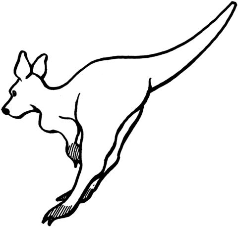 Leaping Kangaroo Coloring Page